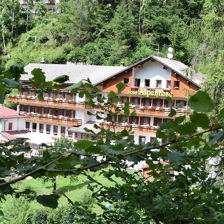 Hotel Alpenrose Alleghe Exteriér fotografie